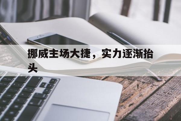 挪威主场大捷，实力逐渐抬头的简单介绍