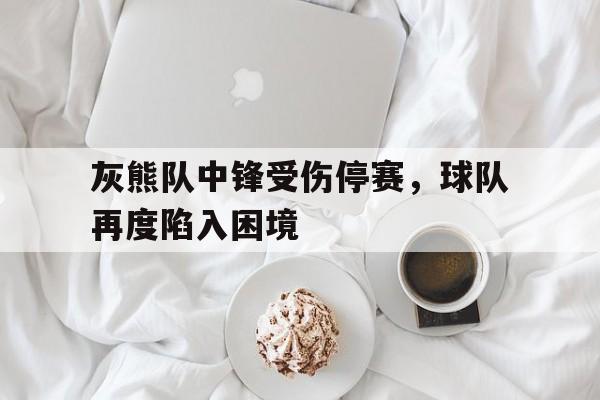 关于灰熊队中锋受伤停赛，球队再度陷入困境的信息